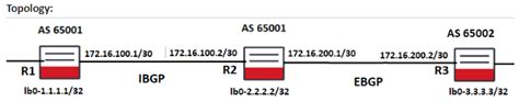 Saos 10x How To Configure Bgp On Saos 10x Device