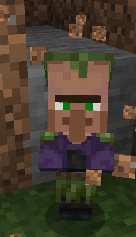 how to make a swamp villager in minecraft