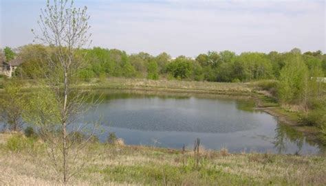 Stormwater Ponds Tips For Inspection And What To Do When You Find Something