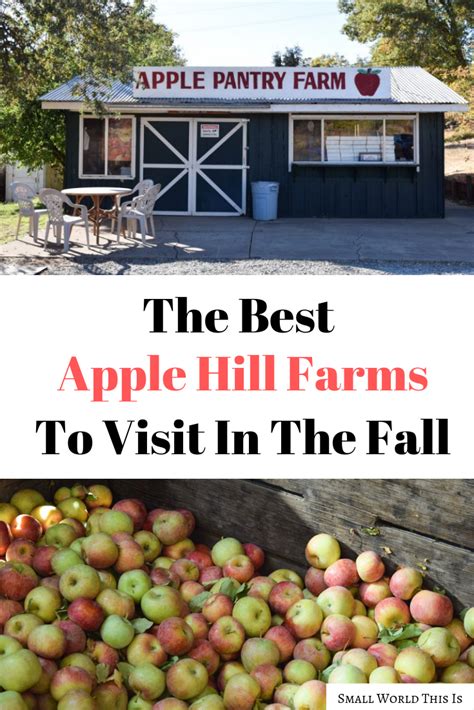 An Hour Away From Sacramento Is The Scenic Apple Hill Farms With Over