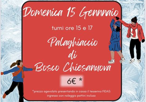 Fidas On Ice Sui Pattini Per Promuovere Il Dono Del Sangue Verona News