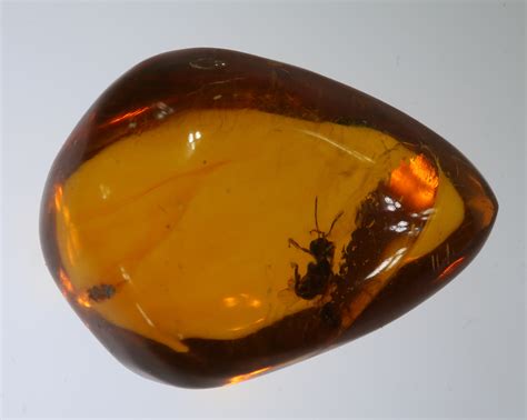 AMBRA – Ori e Gemme – Pietre Preziose