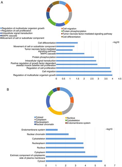 Analysis Of Enriched GO Terms And KEGG Pathways For JAK And STAT Genes