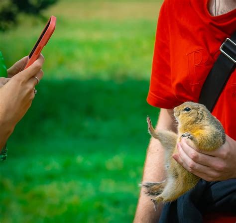 Premium Photo A Guy Is Holding A Gopher In His Hand And A Girl