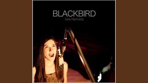 Blackbird Youtube