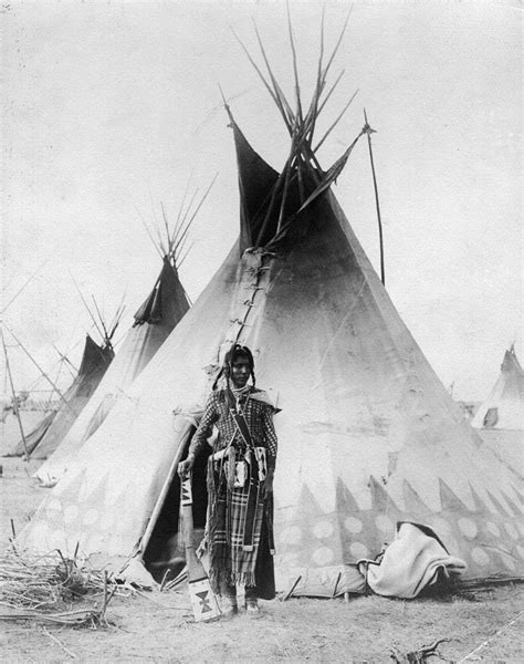 Plains Tribesman Photograph by Henry Guttmann Collection - Fine Art America