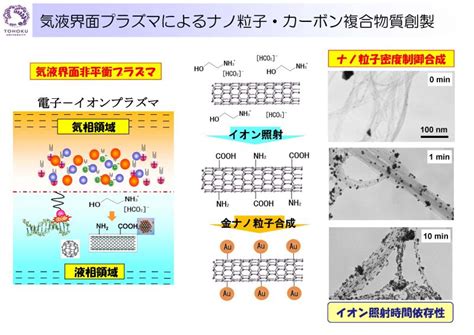 研究シーズ詳細情報（no183） イオン制御プラズマによるナノ・メディカル・アグリ応用技術開発 東北大学 研究シーズ集