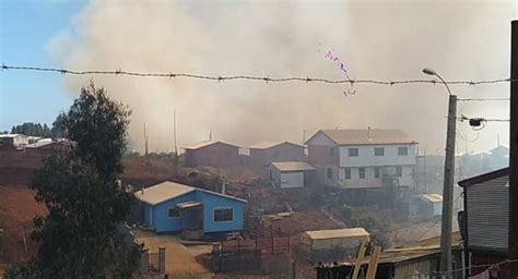 Alerta Roja Para La Comuna De Tomé Por Incendio Forestal