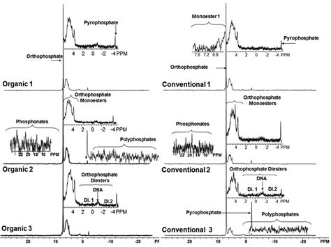 Example P Nuclear Magnetic Resonance Nmr Spectra From Mol L