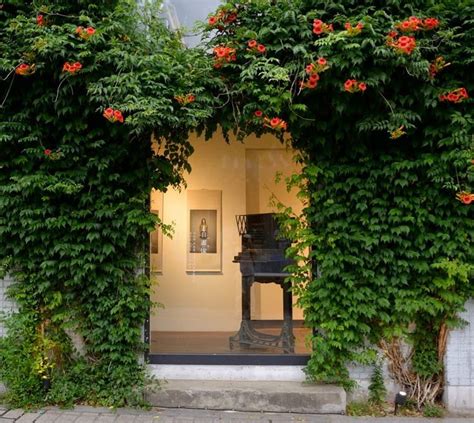 An Old Piano Is Surrounded By Vines And Flowers