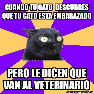 Meme Anxiety Cat Cuando Tu Gato Descubres Que Tu Gato Esta Embarazado