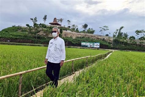 Kementan Kawal Penyuluh Food Estate Sumba Tengah Republika Online