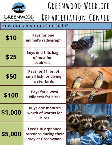 Donate – Greenwood Wildlife Rehabilitation Center