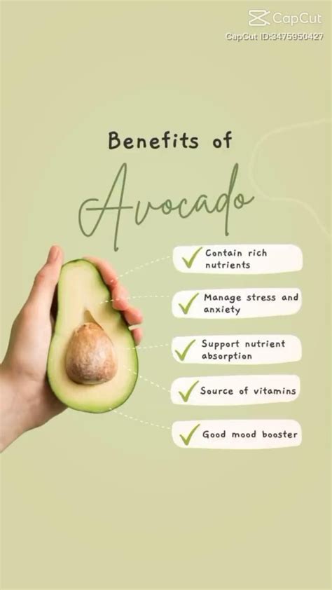 6 Reasons To Eat More Avocados Artofit