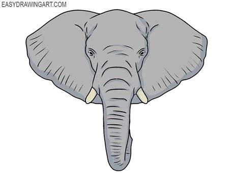 How to Draw an Elephant Face - Easy Drawing Art