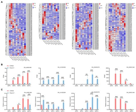 Frontiers Identification Of Candidate Genes For Lint Percentage And