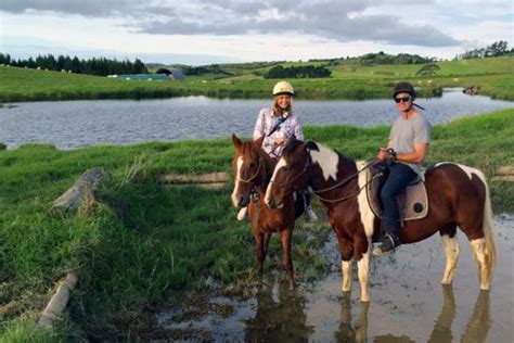 Horse Riding Treks Bay Of Islands And School Pony Camps