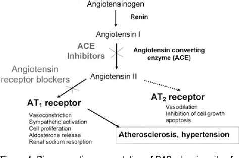 Angiotensin Ii Rezeptor Antagonisten - Quotes Trendy New