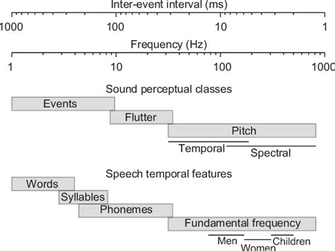 Figure 1 From Representation Of Temporal Sound Features In The Human