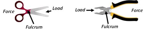 Class 2 Lever Examples