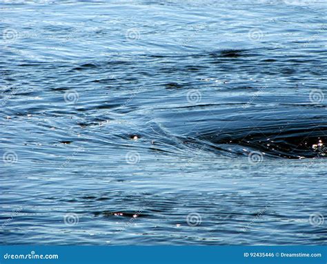 Whirlpool on the lake stock photo. Image of black, hole - 92435446