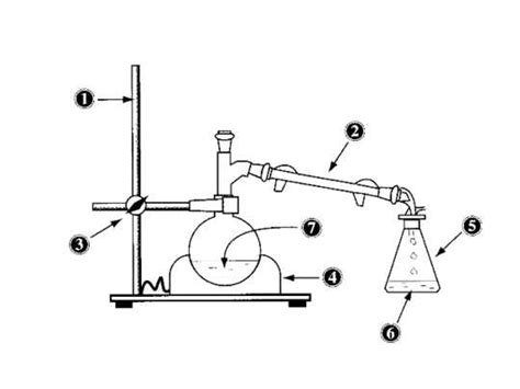 Hydrodistillation De La Lavande