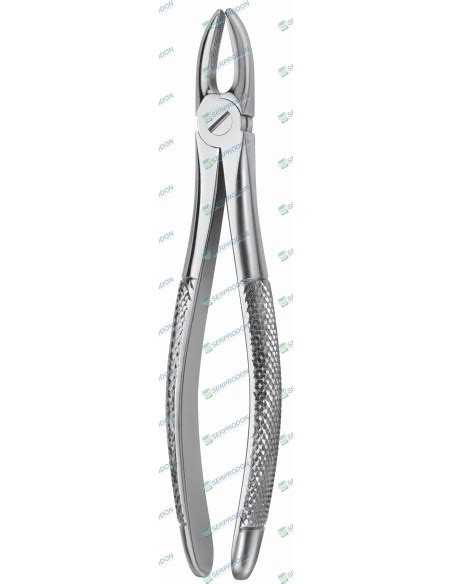 Forcep Incisivo Y Canino Fig 1 KLS Martin