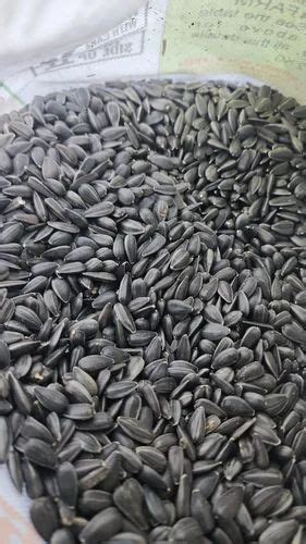 Hybrid Dried Imported Sunflower Seed For Agriculture Packaging Size