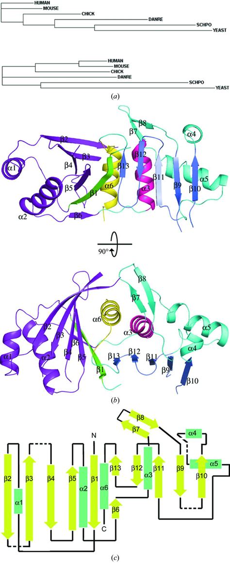 Iucr Structural Insights Into The Role Of The Chl Iml Complex In