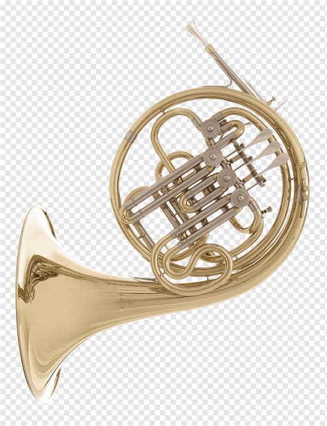 Saxhorn Tenor Horn French Horns Brass Instruments Scale Brass Instrument Metal French Horn