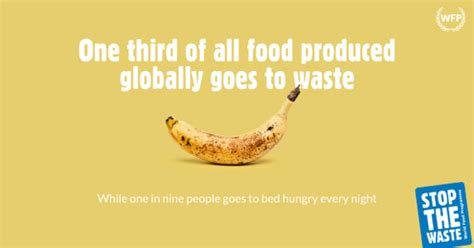 United Nations World Food Programme Launches Plan To Fight Food Waste