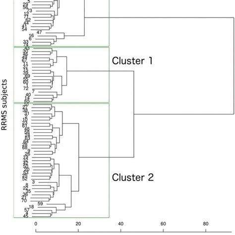 Dendrogram Of The Hierarchical Cluster Analysis Each Of The 74 Rrms