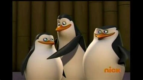 Aww Private And Kowalski Penguins Of Madagascar Image 20964167 Fanpop