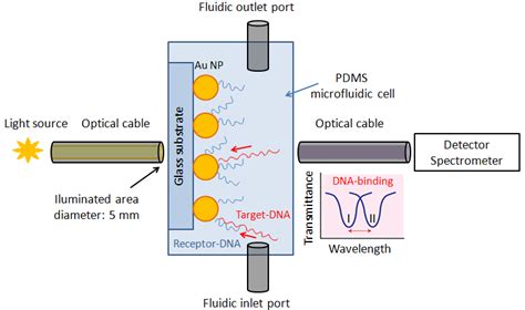 Concept Illustration Of The Lspr Sensor Measurement Setup Download