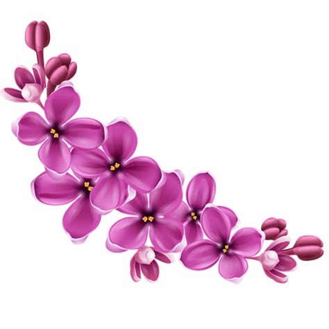 Details 100 Png Background Flower Abzlocal Mx