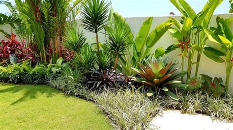 Tropical Landscaping Florida Ideas To Welcome Summer