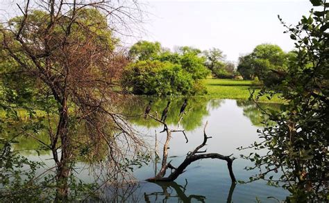 Bharatpur Bird Sanctuary And Keoladeo National Park Entry Fees History