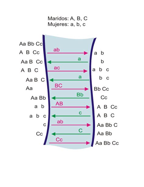 Aa Bb Cc AB Cc Ab Aa B Cc ABC B Abc Aa BC Aa Bc BbCc Aa Bb Ab