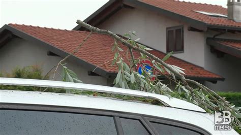 Cronaca Meteo Diretta Alberi E Rami Caduti A Favria I Danni Dopo Il