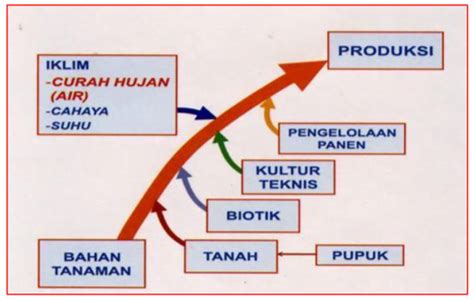 Mematahkan Pola Produksi Potensi Genetis Bibit Best Planter Indonesia