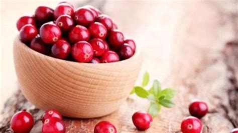 4 Manfaat Cranberry Bagi Kesehatan Mencegah Infeksi Saluran Kemih