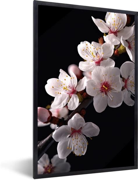 Fotolijst Incl Poster Sakura Bloemen Bloesem Takken Botanisch