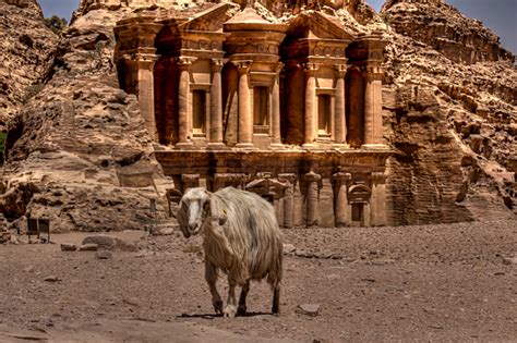 Hiking the Monastery at Petra: Worth it | Hecktic Travels