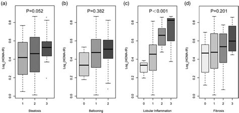 Boxplot Of Homeostatic Model Assessment Of Insulin Resistance Homa Ir