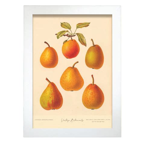 Affiche Nacnic De Formes De Poire Inspiré Par De Cuisine Vintage Cadres