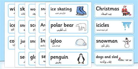 Winter Topic Word Cards Arabic Translation Lehrer Gemacht