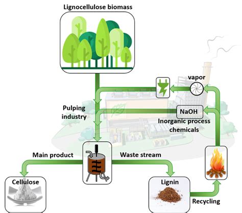 Vanillin From Lignin Wiley Analytical Science