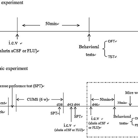 Effects Of Alarin On Serum CRH ACTH And CORT Increments In