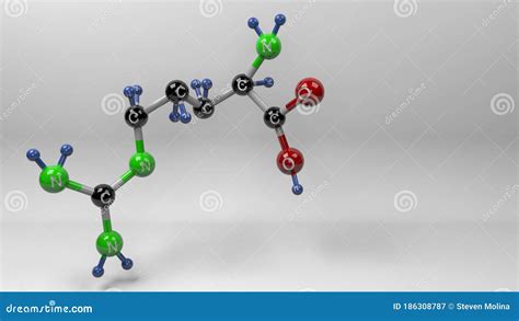 Arginine Molecule 3D Illustration. Stock Illustration - Illustration of ...