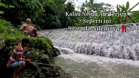 Spot Sperti Inilah Yang Di Sukai Ikan Nilem Mancing Melem Nutulnilem